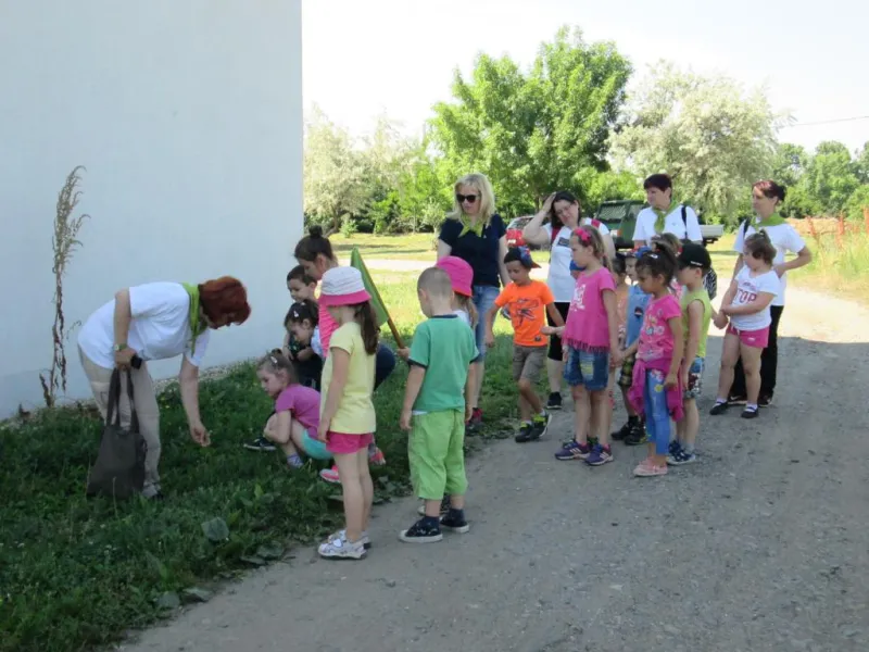 Erdei Óvoda program
