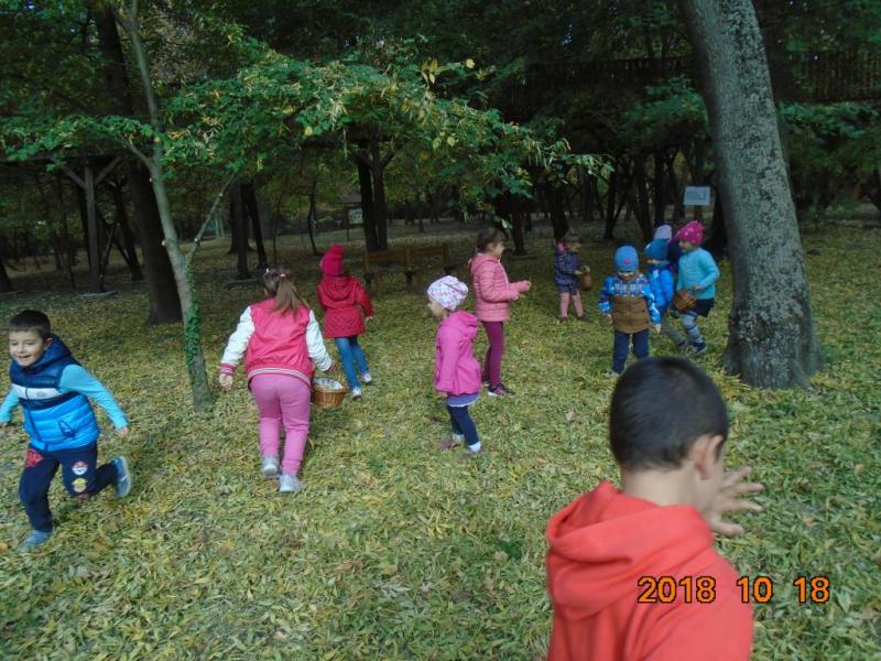 Ősszel a ligetben - Maci csoport