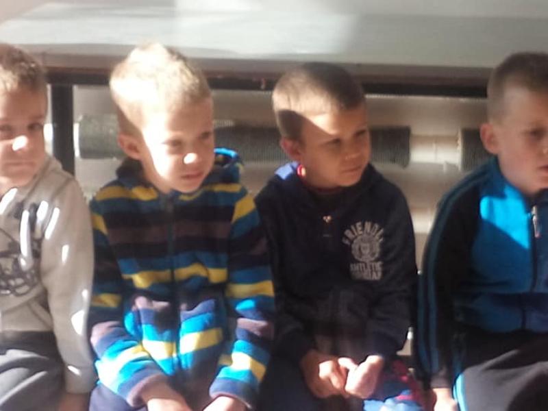 "Mondd szereted az állatokat?"