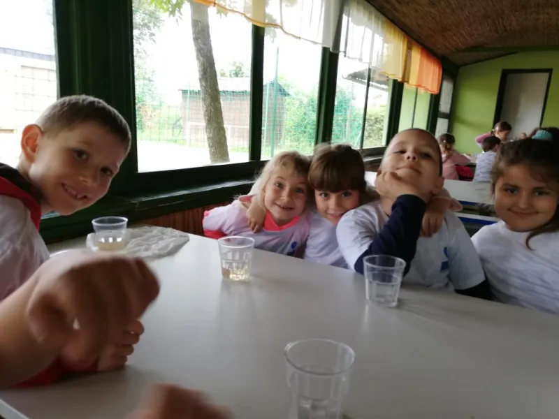 Erdei Óvoda program 2019.