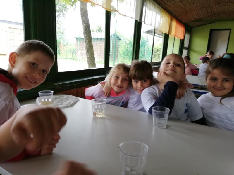 Erdei Óvoda program 2019.