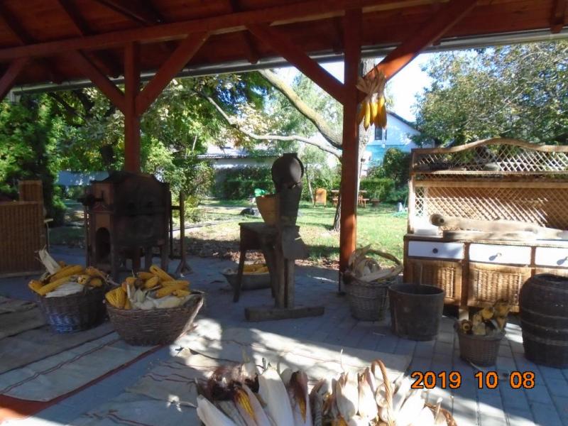 Hagyományőrzés-Kukoricamorzsolás a Százszorszép Óvodában 2019. 