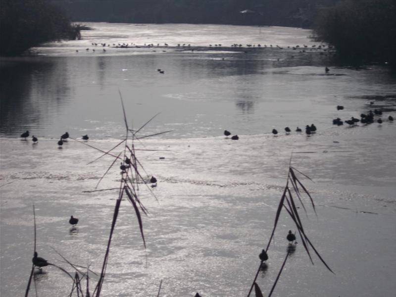Téli életképek - Százszorszép Óvoda