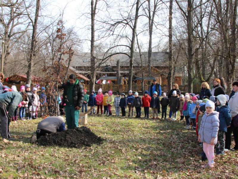 Százszorszép Ovisok faültetése a helyi Erzsébet Ligetben