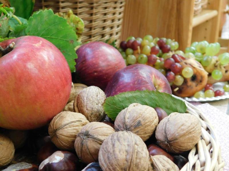 Szüreti hangulat a Százszorszép Óvodában