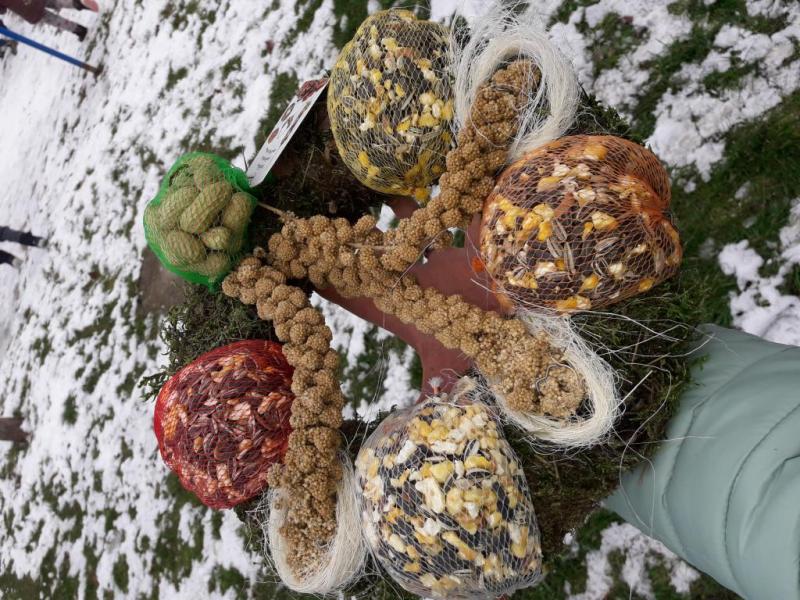 "Mi kell neked? Fatető, fatető, deszka madáretető!"