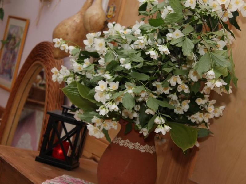 Ballagási Ünnepség - Százszorszép Óvoda 2021.05.28.