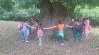 Csemetekert Óvoda - Kirándulás a szarvasi Körösvölgyi Látogatóközpont és Állatpark