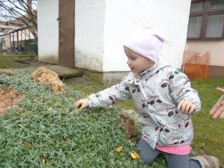 Húsvétvárás a Százszorszép Óvodában