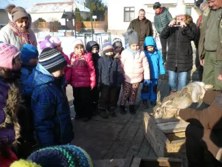 Vadetetésen jártak a Százszorszép ovisok