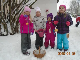 Madárvédelem - madáretetés