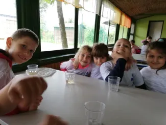 Erdei Óvoda program 2019.