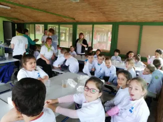 Erdei Óvoda program 2019.