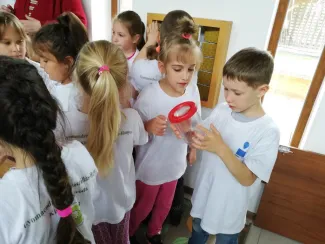 Erdei Óvoda program 2019.