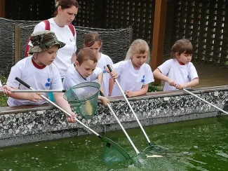 Erdei Óvoda program 2019.