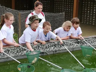 Erdei Óvoda program 2019.