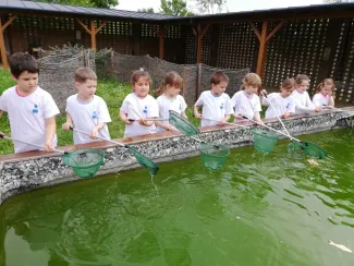 Erdei Óvoda program 2019.