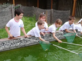Erdei Óvoda program 2019.