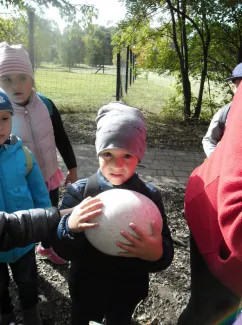 "Mondd, szereted az állatokat?"