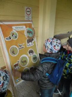 "Mondd, szereted az állatokat?"