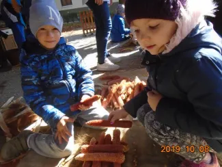 Hagyományőrzés-Kukoricamorzsolás a Százszorszép Óvodában 2019.