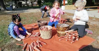 Ősz szele zümmög....Százszorszépesek kirándulása az Erzsébet ligetben