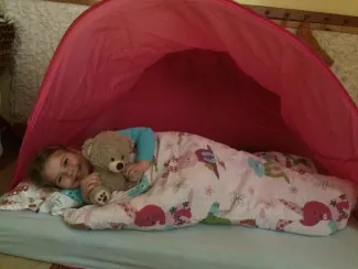 Maci nap a Százszorszép Óvodában