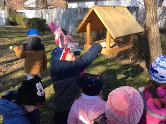 "Mi kell neked? Fatető, fatető, deszka madáretető!"