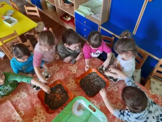 "Mi kell neked? Fatető, fatető, deszka madáretető!"