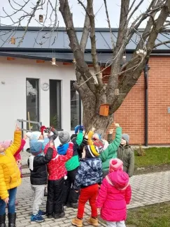 "Mi kell neked? Fatető, fatető, deszka madáretető!"
