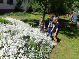 "Mit szeretünk? Játszani! Fűből ki sem látszani!" Százszorszép Óvoda 2021. tavaszi életképek