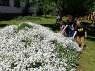 "Mit szeretünk? Játszani! Fűből ki sem látszani!" Százszorszép Óvoda 2021. tavaszi életképek