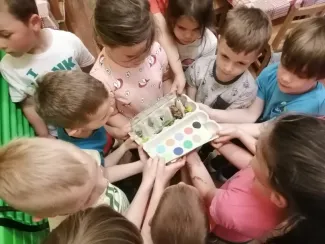 Madarak és Fák napja a Csemetekert Óvodában 2021.