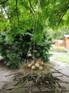 Madarak és Fák napja a Százszorszép Óvodában 2021.