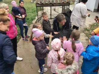 Gyepi