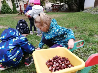 ősz
