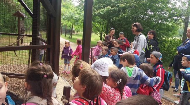 Csemetekert Óvoda - Kirándulás a szarvasi Körösvölgyi Látogatóközpont és Állatpark