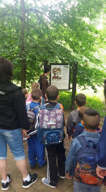 Csemetekert Óvoda - Kirándulás a szarvasi Körösvölgyi Látogatóközpont és Állatpark