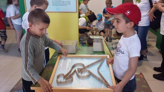 Erdei Óvoda program