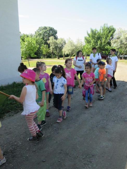 Erdei Óvoda program