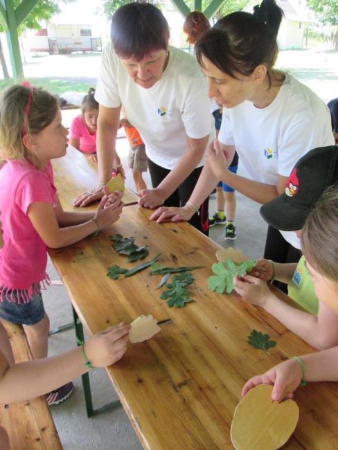 Erdei Óvoda program