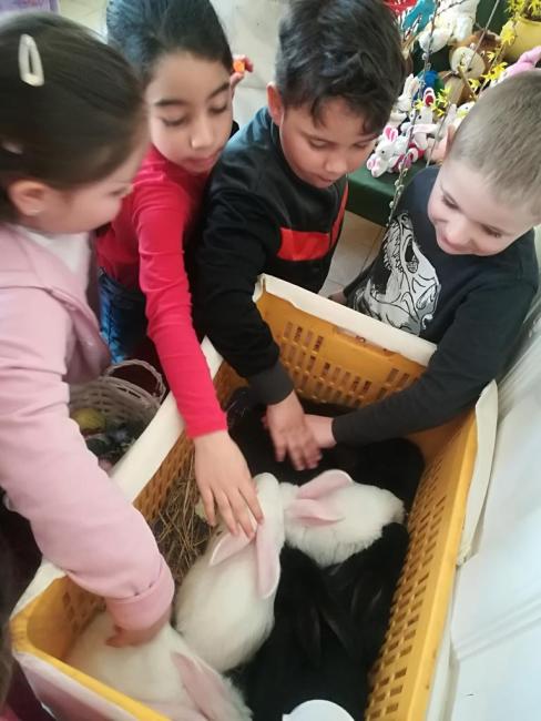 Húsvétvárás a &amp;quot;Kerek erdőben&amp;quot; - vendégségben a Csemetekert oviban