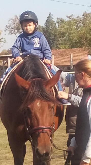 &amp;quot;Mondd szereted az állatokat?&amp;quot;