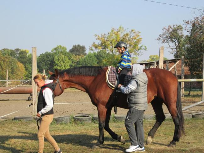 &amp;quot;Mondd szereted az állatokat?&amp;quot;