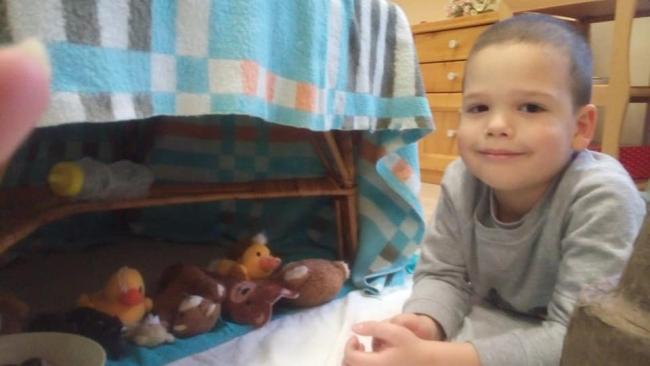 Maci nap a Százszorszép Óvodában