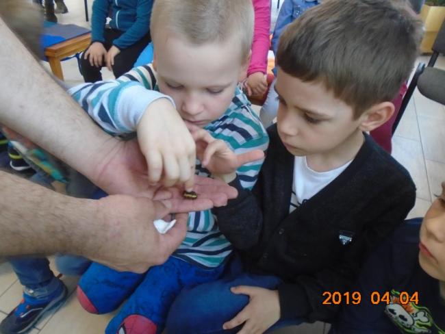 "Bogaras" nap a Kistérségi Óvodában