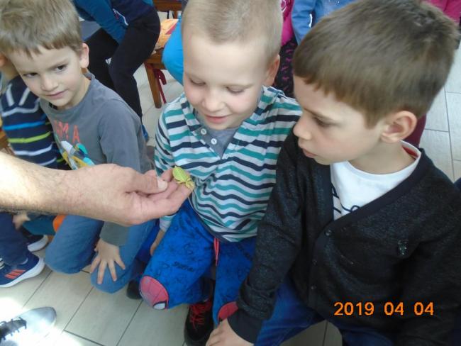 "Bogaras" nap a Kistérségi Óvodában