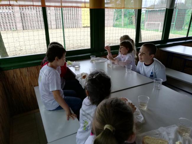 Erdei Óvoda program 2019.