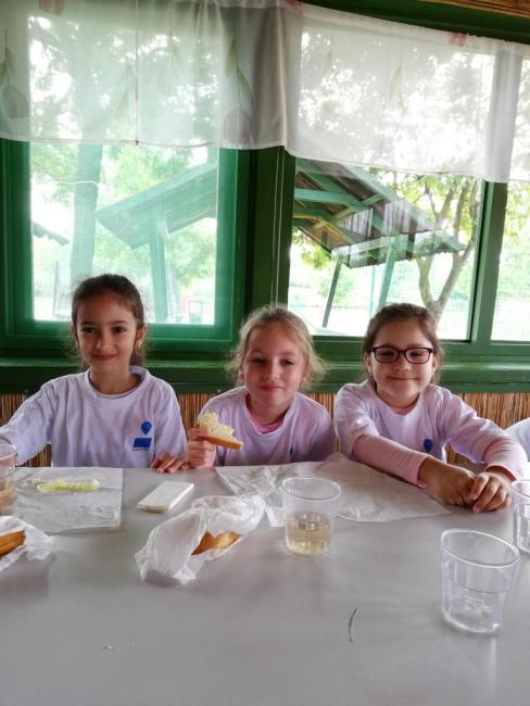 Erdei Óvoda program 2019.