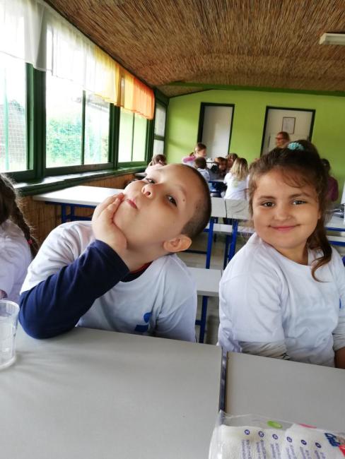 Erdei Óvoda program 2019.